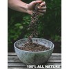 Doter Carnivorous Plant Soil Mix for Repotting 4 QT, All