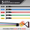 Rubruel Resistance Bands Set with Handles - 150 lbs Heavy