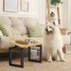 Dog Bowls Elevated, 4 Height & Angle Adjustable Raised Dog