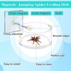 Coldairsoap Jumping Spider Magnetic Water Feeding Dish for Small Pets