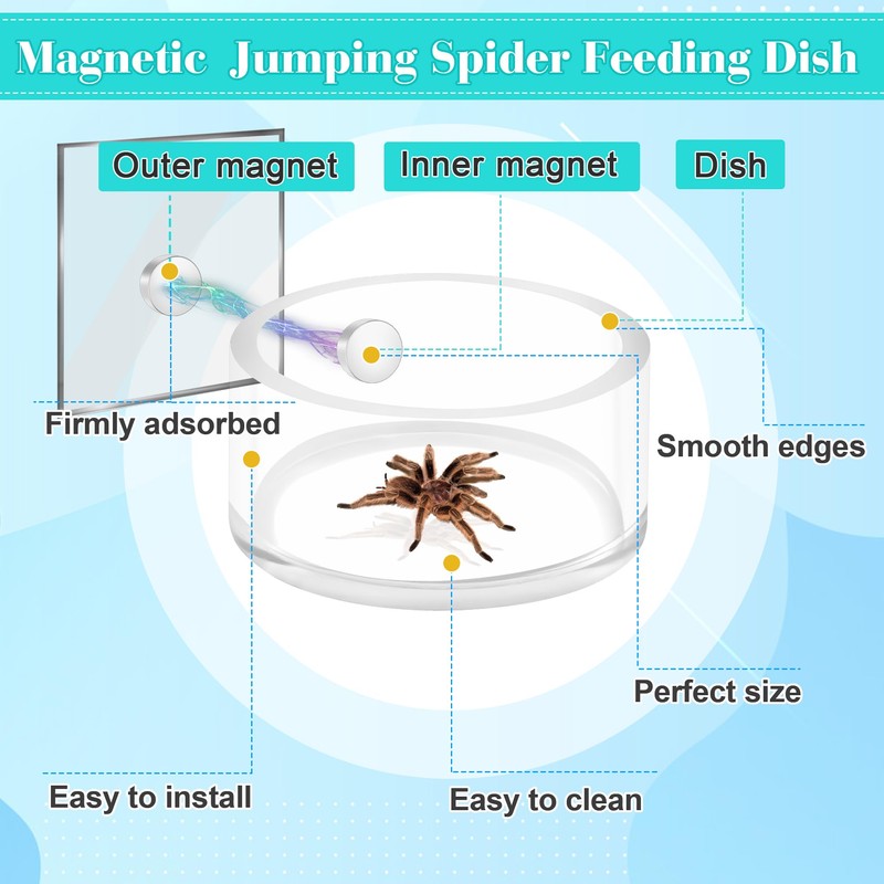 Coldairsoap Jumping Spider Magnetic Water Feeding Dish for Small Pets