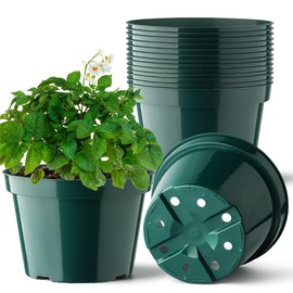 BTPLASTIK 8 Inch Plastic Plant Pots, 15 Pack Sturdy Nursery Pots with Drainage Holes, Flower Planter Pots for Indoor Outdoor, Garden Containers Sets for Vegetable Herbs Flowers, Green