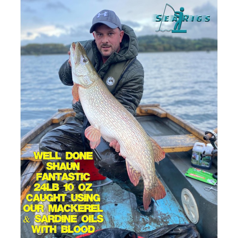 searigs™ Fish Blood Natural sea fishing Bait Capsules for attracting