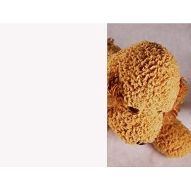 GordonGlass White Out Privacy Window Film 60" Wide x 1 yd. Sold by The Yard as one Continuous roll.