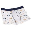 Circumcision Underwear for Kids PTE Protective Cover Anti Extrusion Dinosaur