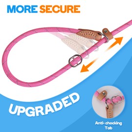 Grand Line Slip Lead Dog Leash, 5FT Reflective Slip Rope, Puppy Training Walking Controlling Lead, Slip Collar Pet Leash for Small, Medium, Large Dogs (Pink, Small-1/4in x 5ft)