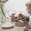 Done by Deer Elphee Breakfast Box, Lunch Box, Rose