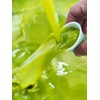 Oilala Extra Virgin Olive oil Peranzana, 2020/21 Harvest! low Acidity,