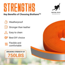Regal Dog Products Biothane Beta 520 Reflective - Light Green - GN 528 Coated Webbing Beta Biothane Roll | 3/4 Inch x 25 Feet | Waterproof Biothane Strap | Super Heavy Duty