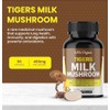 Organic Extracto Hongo Leche Tigre Lignosus Rhinocerus Apoyo Respiratorio Inmunitario