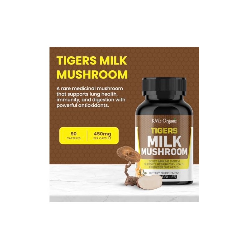 Organic Extracto Hongo Leche Tigre Lignosus Rhinocerus Apoyo Respiratorio Inmunitario