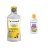 Dickinson's Witch Hazel Facial Toner and Micellar Bundle (2-16 fl oz Bottles): Original Witch Hazel Pore Perfecting Toner, Micellar Witch Hazel Makeup Remover