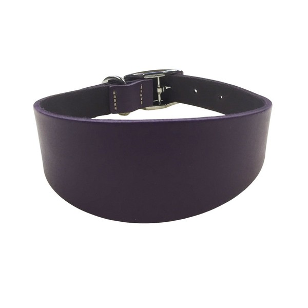 BBD PET PRODUCTS Lurcher Deluxe Collar, Purple