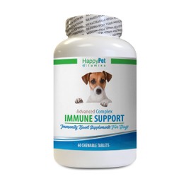 HAPPY PET VITAMINS LLC Dog antioxidant Supplements - Dog Immune System Support - Liver and Kidney Health - Powerful ANTIOXIDANTS - Natural Formula - Turmeric Life Dog Bites - 1 Bottle (60 Treats)