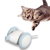 Cat Theater Cat Toy 2024 Rat Wicked Mouse Plus Play
