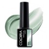 Calapia One Step Syrup Gel Nail, S054 Goyo, 6g, 1 piece / 칼라피아 원스텝 시럽 젤네일, S054 고요, 6g, 1개