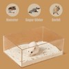 FiboPawer Transparent Rectangle Hamster Sand Bath Box for Hamster Cage