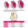 Breathable Dog Carrier Backpack for Travel – Adjustable Double-Shoulder Pet
