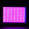 Red Blue Light Therapy Acne Removal Beauty Instrument Photon Skin