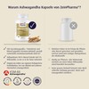 ZeinPharma Ashwagandha Extract 120 Capsules 500 mg - Ashwagandha Root