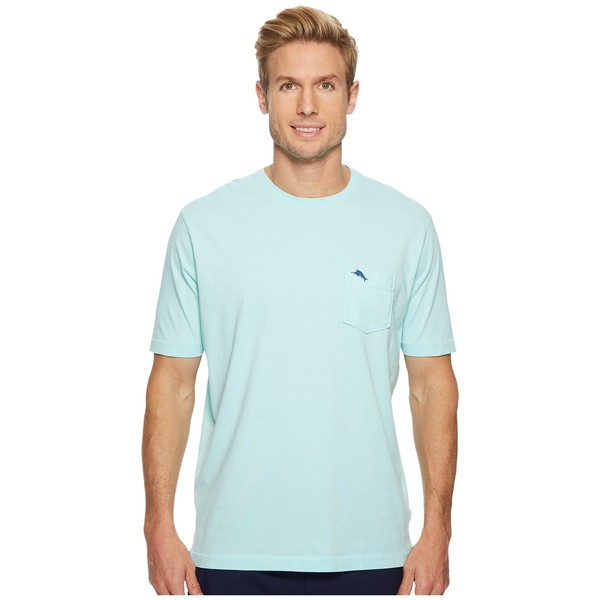 Tommy Bahama Men's Bali Skyline T-Shirt (Large, Aqua Mist)