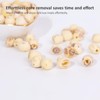 SODGHYTR Natural Dried Lotus Seeds for Eating,10.58Oz/300g