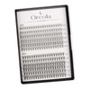 Oreola Cluster Lashes Extensions 10D 20D Individual Eyelashes 0.1D Curl