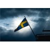 ANCONINE Sweden Flag 4x6 FT, Swedish National Flags with 2
