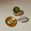 Anima Mundi Apothecary Matcha en Polvo