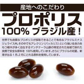粒状 プロポリス 200粒 ブラジル産 プロポリス使用 武州養蜂園 アルテピリンC フラボノイド プロポリスエキス