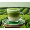 스테디 국내산 말차라떼 Steady Domestic Matcha Latte