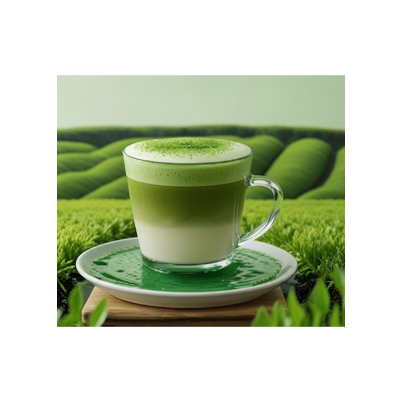 스테디 국내산 말차라떼 Steady Domestic Matcha Latte