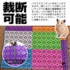 fogman Rabbit Saw Plastic Cage, Set of 4, Cute, Stylish,
