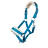 HKM 11796 Bischofshofen Headcollar Plush Padding Horse Halter Turquoise, Thoroughbred