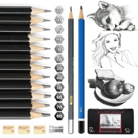 Vicloon Pencil Set, 18-Piece Sketch Set, Drawing Pencils, 12B, 10B, 8B, 7B, 6B, 5B, 4B, 3B, 2B, B, HB, F, H, 2H Graphite Pencils for Children, Adults, Artists, Students, Beginners