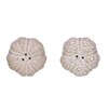 The Bridge Collection Beach Salt And Pepper Shaker Set -