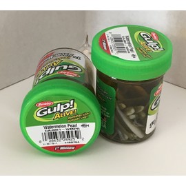 Gulp Bait 1 INCH Watermelon Pearl Minnow 2 jar Bundle Berkley gulp Alive Perch Minnows ice Fishing Bait Panfish Minnows
