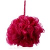Bath Sponge Red (Nylon Rope)