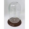 anbcollectibles 4 x 7 Glass Dome with 3 Tier Acrylic Marble Display Insert (5/8" Holes) for Marbles with Walnut Base