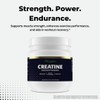 Paradise Creatine Monohydrate Powder - Micronized for Enhanced Absorption -
