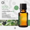 Aceite Esencial De Menta Piperita Orgánico (mentha Piperita)