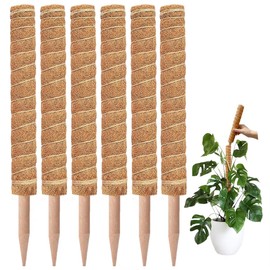 Wooden Extendable Plant Trellis for Potted Plants Indoor