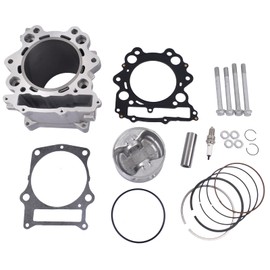 NEWZQ 686cc Big Bore Piston Cylinder Kit Replacement for Yamaha Raptor 660R 2001-2005 Yamaha Grizzly 660 2002-2008 Yamaha Rhino 660 2004-2007 102mm3YF-11310-01 93450-24028-00