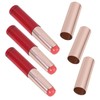 VICASKY Portable Lip Brush Applicator Kit 3pcs Round Tip Lip