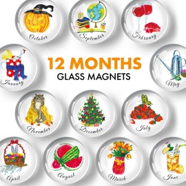 Decorative Magnets for Fridge – Glass Magnets for Refrigerator – Cute Fridge Magnets for Office and Kitchen – Succulent Whiteboard Magnets for Locker