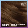 Clairol Nice'n Easy Tone+Gloss Semi Permanent Hair Dye - 537/78
