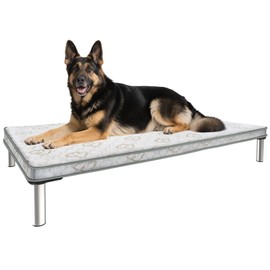 FXW TitanNest Chew-Proof Elevated Dog Bed, Raised Cot for Indoor/Outdoor/Camping Use, Durable & Waterproof Cooling Pet Bed with Exclusive Cover for Large Dogs, 50.0" L x 31.0" W x 7.3" H, Black