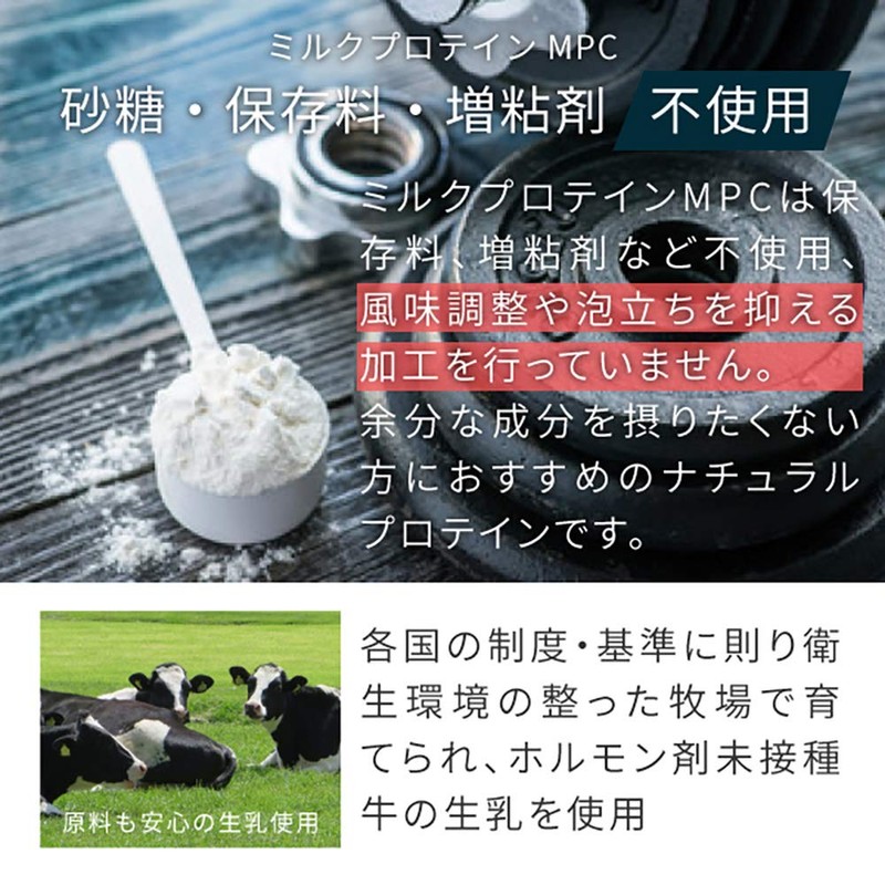 nichie ミルクプロテイン MPC カゼイン&ホエイ アイルランド産 プレーン 100g