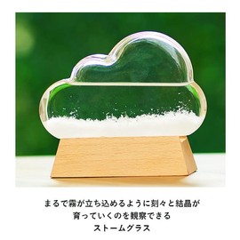 Chatani Sangyo Storm Glass Cloud 333-274
