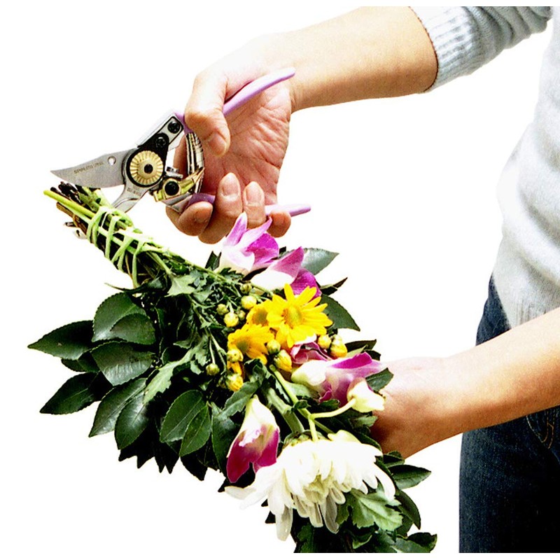Hana pruning shears for women gold